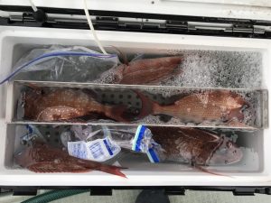 さぶろう丸 釣果