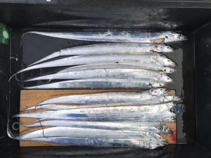 さぶろう丸 釣果