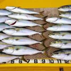 火遠理丸（ほおりまる） 釣果