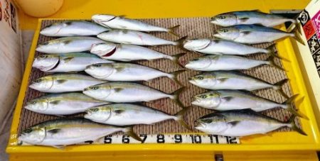 火遠理丸（ほおりまる） 釣果