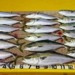 火遠理丸（ほおりまる） 釣果