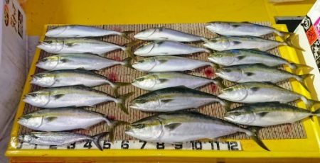 火遠理丸（ほおりまる） 釣果