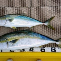 火遠理丸（ほおりまる） 釣果