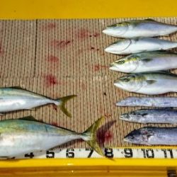 火遠理丸（ほおりまる） 釣果