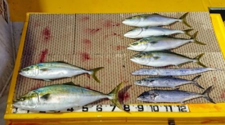 火遠理丸（ほおりまる） 釣果