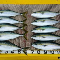 火遠理丸（ほおりまる） 釣果