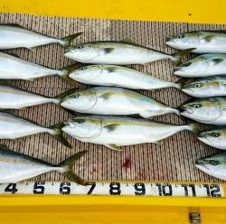 火遠理丸（ほおりまる） 釣果