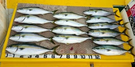 火遠理丸（ほおりまる） 釣果