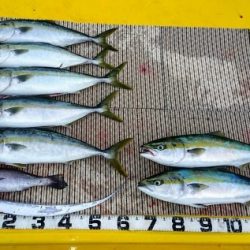 火遠理丸（ほおりまる） 釣果