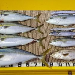 火遠理丸（ほおりまる） 釣果