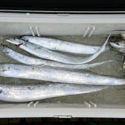 火遠理丸（ほおりまる） 釣果