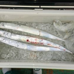 火遠理丸（ほおりまる） 釣果