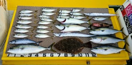 火遠理丸（ほおりまる） 釣果