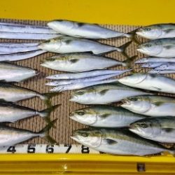 火遠理丸（ほおりまる） 釣果