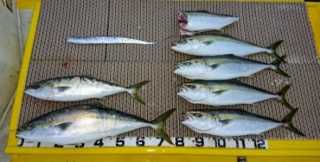 火遠理丸（ほおりまる） 釣果