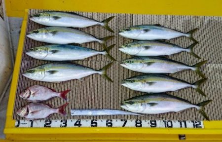 火遠理丸（ほおりまる） 釣果