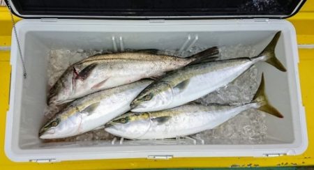 火遠理丸（ほおりまる） 釣果