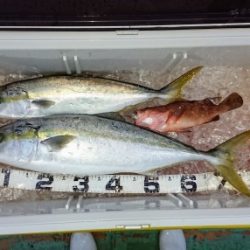 火遠理丸（ほおりまる） 釣果