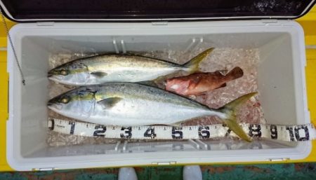 火遠理丸（ほおりまる） 釣果