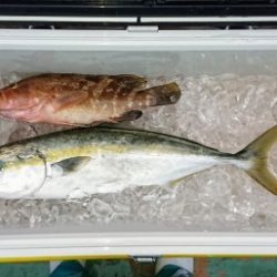 火遠理丸（ほおりまる） 釣果