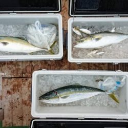 火遠理丸（ほおりまる） 釣果