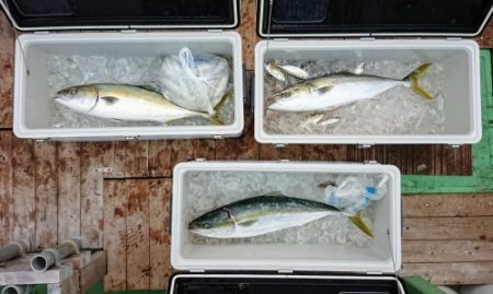 火遠理丸（ほおりまる） 釣果