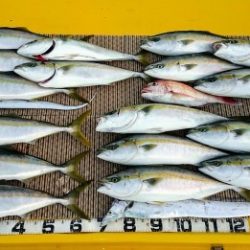 火遠理丸（ほおりまる） 釣果