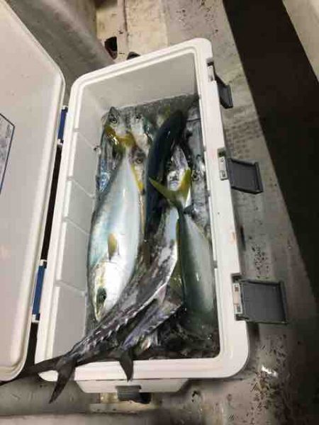 龍宮丸 釣果