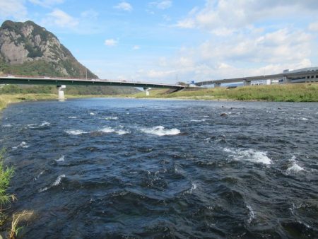 狩野川(狩野川漁業協同組合) 釣果
