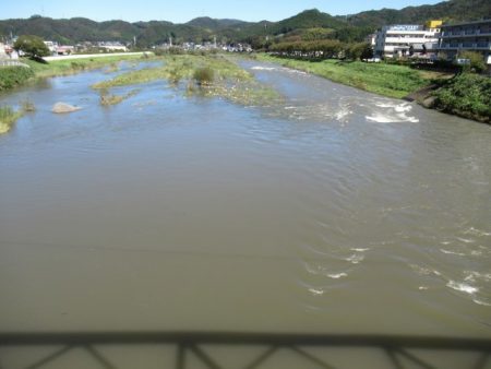 狩野川(狩野川漁業協同組合) 釣果