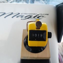 Magic(マジック) 釣果