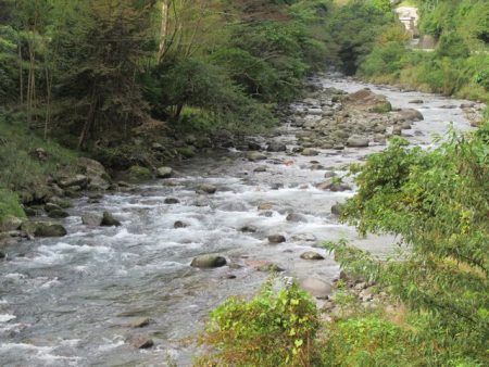 狩野川(狩野川漁業協同組合) 釣果