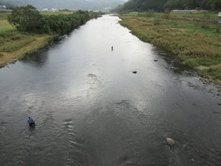 狩野川(狩野川漁業協同組合) 釣果