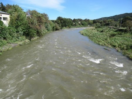 狩野川(狩野川漁業協同組合) 釣果