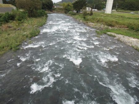 狩野川(狩野川漁業協同組合) 釣果