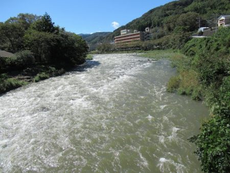 狩野川(狩野川漁業協同組合) 釣果