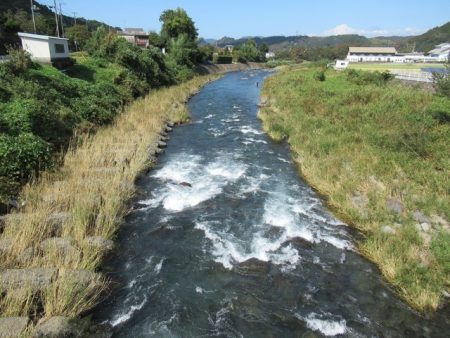 狩野川(狩野川漁業協同組合) 釣果