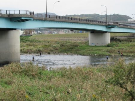 狩野川(狩野川漁業協同組合) 釣果