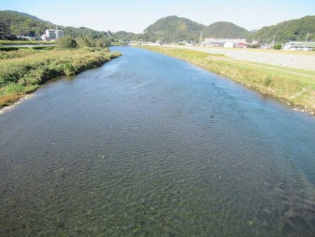 狩野川(狩野川漁業協同組合) 釣果