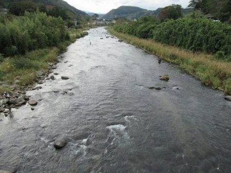 狩野川(狩野川漁業協同組合) 釣果
