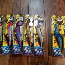 遊漁船 ニライカナイ 釣果