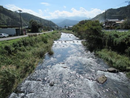狩野川(狩野川漁業協同組合) 釣果