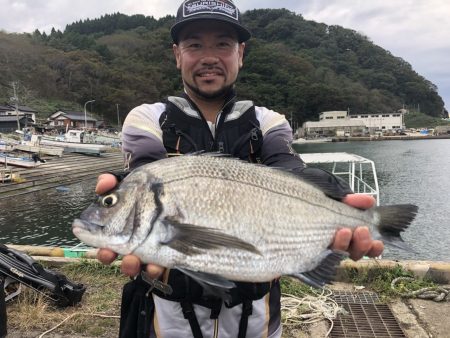 由良渡船 釣果