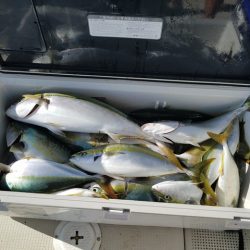 遊漁船 ニライカナイ 釣果