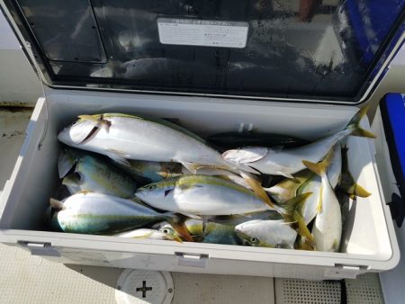 遊漁船 ニライカナイ 釣果