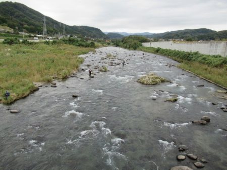 狩野川(狩野川漁業協同組合) 釣果