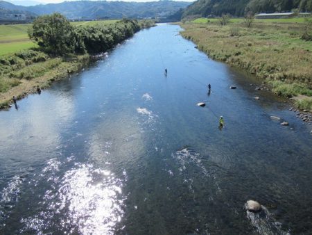 狩野川(狩野川漁業協同組合) 釣果