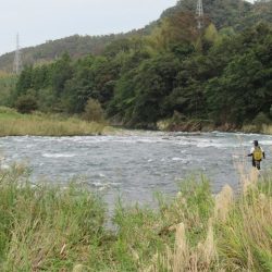 狩野川(狩野川漁業協同組合) 釣果