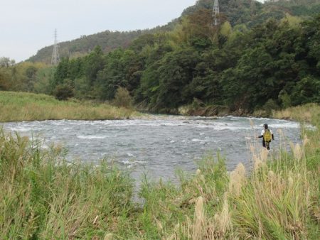 狩野川(狩野川漁業協同組合) 釣果