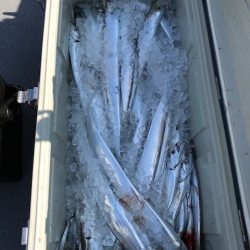 へいみつ丸 釣果